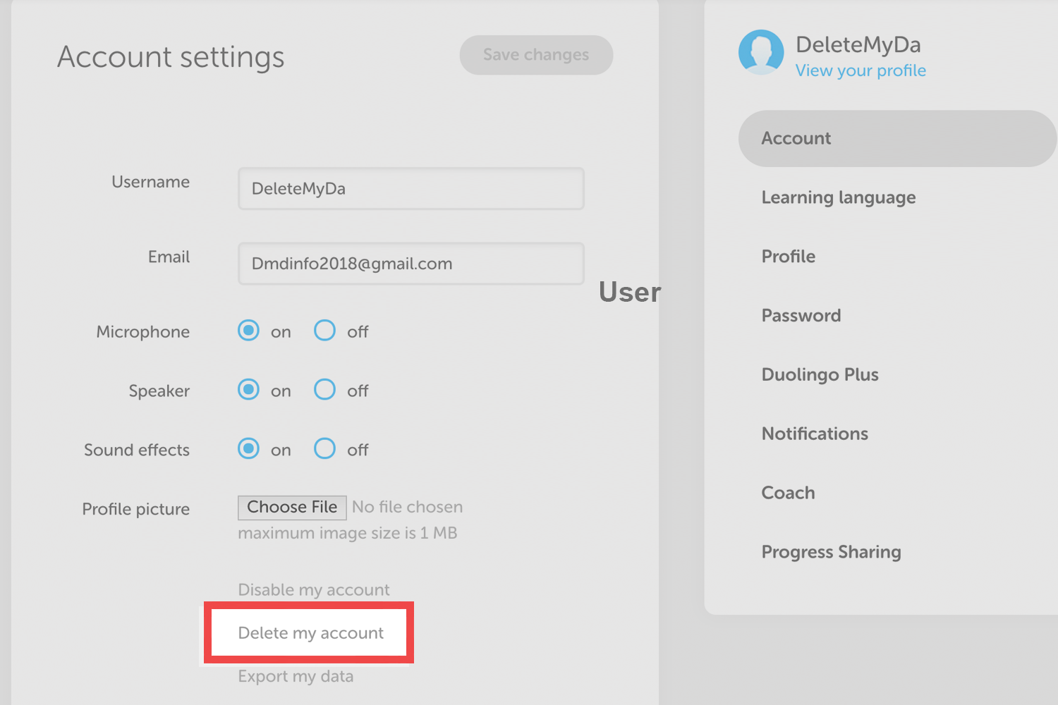 How To Delete Your Duolingo Account