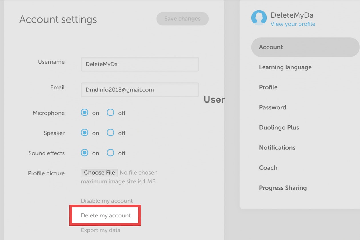 How To Delete Your Duolingo Account