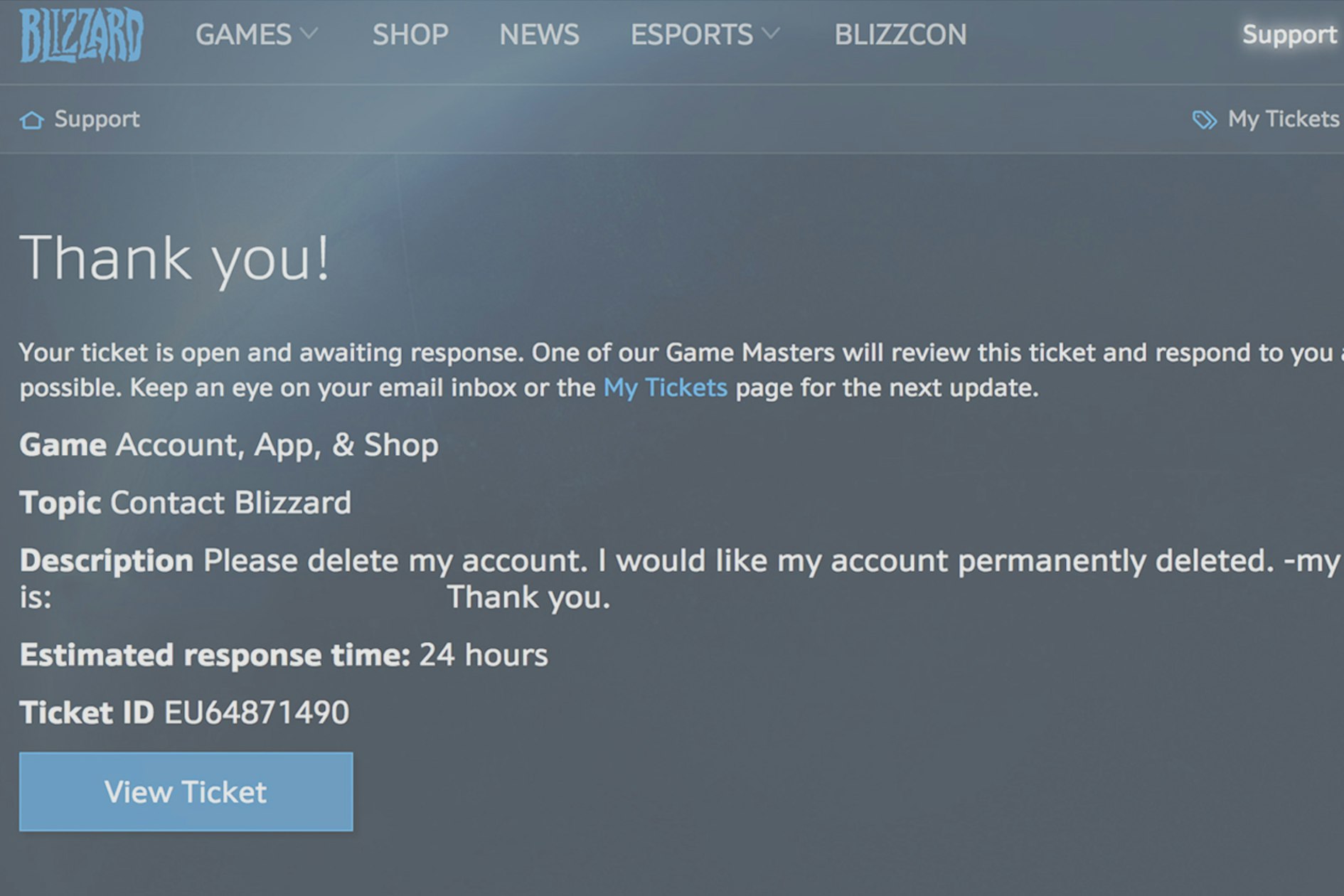 How To Delete Your Blizzard Account